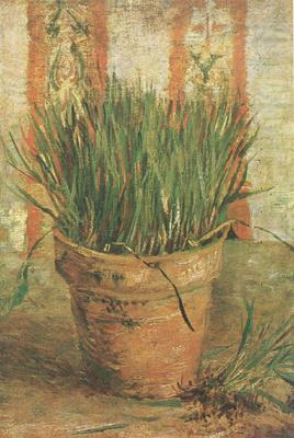 Vincent Van Gogh Flowerpot with Chives (nn04) china oil painting image